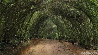 Potret Wisata Bakukung Bogor, Banyak Spot Instagramable ya!