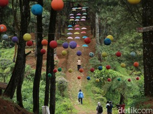 Wisata Bakukung, Wisata Semua Ada di Bogor