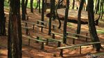 Potret Wisata Bakukung Bogor, Banyak Spot Instagramable ya!