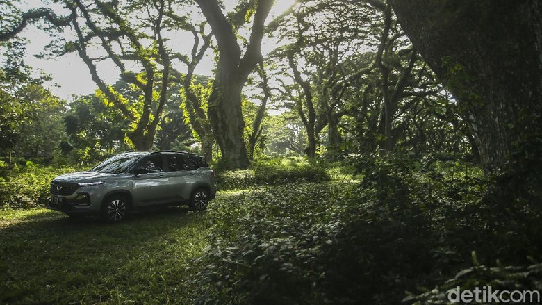 Road Trip 3.000 Km Jakarta-Bali Bersama Wuling Almaz RS Wuling Almaz RS di Hutan De Djawatan Banyuwangi