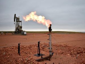 Jurus Pengusaha Capai Target Nol Emisi Karbon di 2060