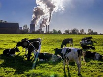 Gibran Tak Puas Jawaban Mahfud di Debat Cawapres, Apa itu Carbon Capture Storage?