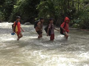 Banjir-Jembatan Ambruk, Siswa SD di Sulbar Bertaruh Nyawa Seberangi Sungai