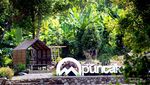 Puncak Robin, Satu Lagi Wisata Alam Asyik di Sukabumi