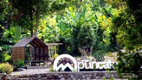 Cabin di Puncak Robin