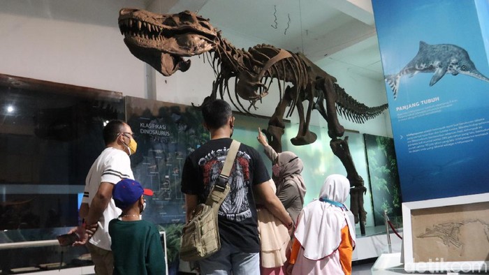 Yuk Berwisata Sejarah ke Museum Geologi Bandung