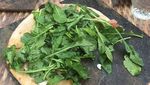 10 Ide Penyajian Makanan yang Nyeleneh Abis, Bikin Melongo!