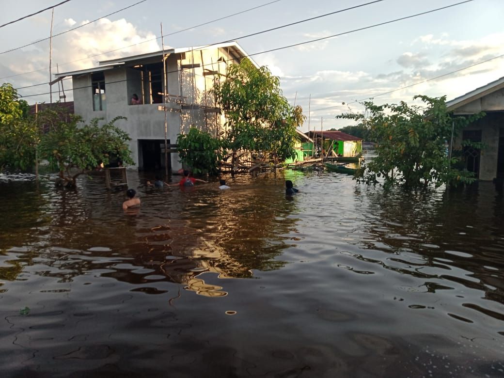 Banjir melanda enam kecamatan di Kabupaten Kapuas Hulu, Kalimantan Barat (Kalbar) (dok BNPB)