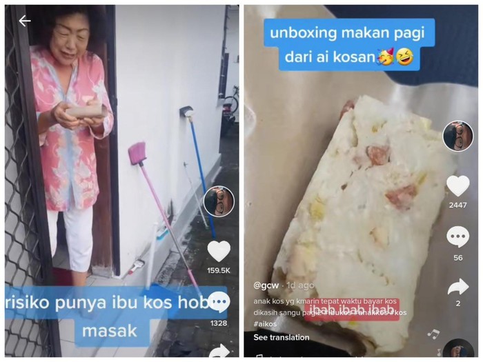 Dibekali Babi Netizen Ini Senang Dapat Bekal Makanan Babi dari Ibu Kos Baik Hati