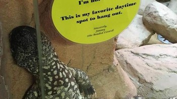 Tenang dia tidak kabur, ada keterangannya di kaca. Foto: Reddit via Brightside