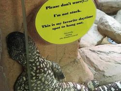 Waspada! Lihat Sekilas Foto Ini Bikin Mata Tertipu