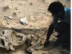 Aneka Foto Hoax yang Sempat Viral di Dunia