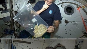 Seorang astronot Chris Hadfiels yang gemar membuat vlog tentang kehidupannya sebagai astronot sempat membuat heboh karena dirinya membawa mariyuana dalam kantong plastik saat bertugas ke luar angkasa. Faktanya, ia sebenarnya membawa benda lain yang mirip dengan telur. (Foto: Boredpanda)