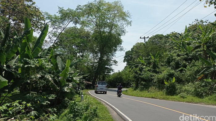 Kawasan Leuweung Emplak Kebupaten Pangandaran