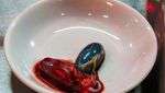 Hii! 10 Makanan Eksotis dari Seluruh Dunia, Ada Otak Monyet hingga Balut