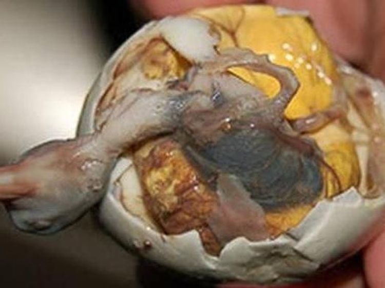 Hii! 10 Makanan Eksotis dari Seluruh Dunia, Ada Otak Monyet hingga Balut