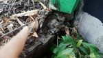 Pak Sopir Waspada! Jembatan di Kawasan Klaten Ini Ambles