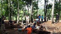 Dari tiga hari penggalian ini, tim BPCB Jateng telah menemukan struktur susunan batu dan batu-batu lepas. (Ragil Ajiyanto/detikcom)