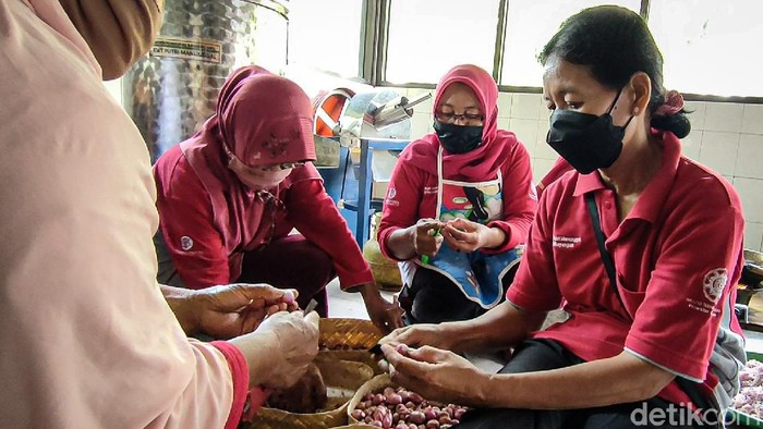 Perempuan Tani di Kulon Progo Raup Cuan dari Bawang Goreng Perempuan Tani di Kulon Progo Raup Cuan dari Bawang Goreng