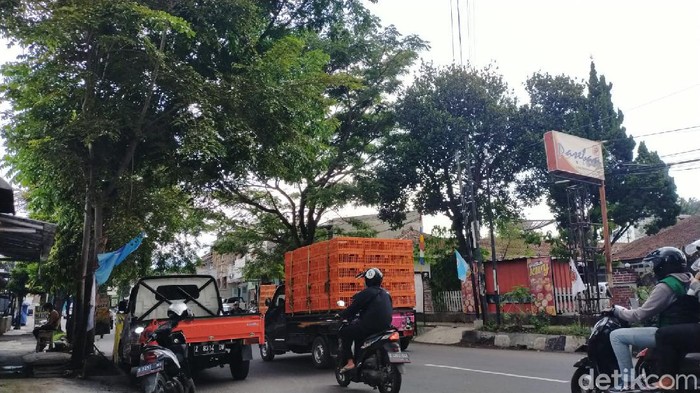 Suasana jalan di Garut yang ditumbuhi banyak pohon.
