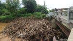 Waduh, Sampah Menumpuk di Sungai Piji Kudus