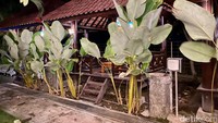 Di restorannya dilengkapi dengan arena bermain anak, seperti ayunan, perosotan, jungkat-jungkit hingga perahu bebek. Semua permainan tersebut dapat dimainkan oleh pengunjung secara gratis. Foto: detikcom/Riska Fitria