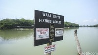 Kemudian pada 2001, area itu difungsikan sebagai kolam pemancingan. Hingga saat ini banyak masyarakat yang masih memancing dan memang diizinkan di Pantai Wana Griya.
