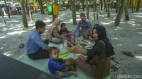Pada tahun 2018, Wana Griya akhirnya dibuka untuk umum. Pandi masih ingat, kala itu pengunjung begitu membludak. Sampai-sampai rerumputan di sekitar area rusak.