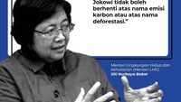 Awalnya, Menteri Lingkungan Hidup dan Kehutanan (Menteri LHK), Siti Nurbaya Bakar dalam cuitannya mengatakan bahwa pembangunan besar-besaran era Presiden Jokowi tidak boleh berhenti atas nama emisi karbon atau atas nama deforestasi. Cuitan itu pun viral.
