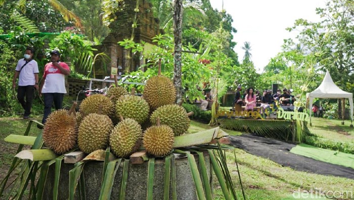 festival durian banyuwangi