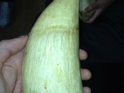 Deretan Foto Benda di Alam Bikin Mata Tercengang