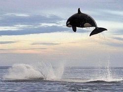 Deretan Foto Benda di Alam Bikin Mata Tercengang