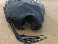 Deretan Foto Benda di Alam Bikin Mata Tercengang