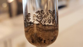 Sedimen dari reaksi kimia. Foto: Reddit via Brightside
