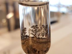 Deretan Foto Benda di Alam Bikin Mata Tercengang