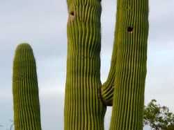 Deretan Foto Benda di Alam Bikin Mata Tercengang