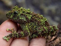 Deretan Foto Benda di Alam Bikin Mata Tercengang