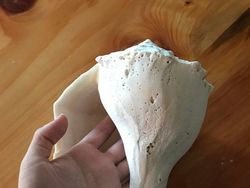 Deretan Foto Benda di Alam Bikin Mata Tercengang