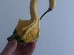 Deretan Foto Benda di Alam Bikin Mata Tercengang