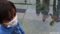 Pengunjung villa memang berebutan mendatangi jembatan kaca ini, karena menjadi salah satu tempat paling instagramable di villa.