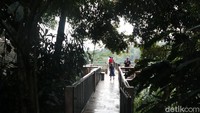 Ukurannya sih memang tidak terlalu lebar, hanya beberapa meter, dengan ketinggian sekitar 100 meter dari tanah. Namun meski begitu sudah bikin jantung ini deg-degan.
