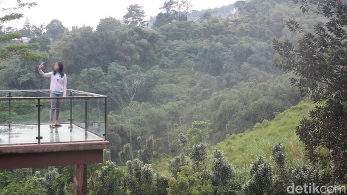 Jembatan Kaca di Bogor Jembatan Kaca di Villa Kebunsu, Bogor