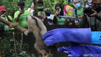 Bagaimana menurut Anda?