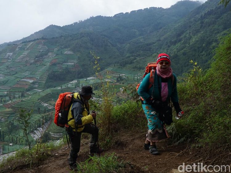 Suasana Gunung Prau Usai Dibuka Kembali