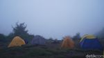 Suasana Gunung Prau Usai Dibuka Kembali