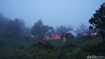 Suasana Gunung Prau Usai Dibuka Kembali
