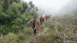 Suasana Gunung Prau Usai Dibuka Kembali