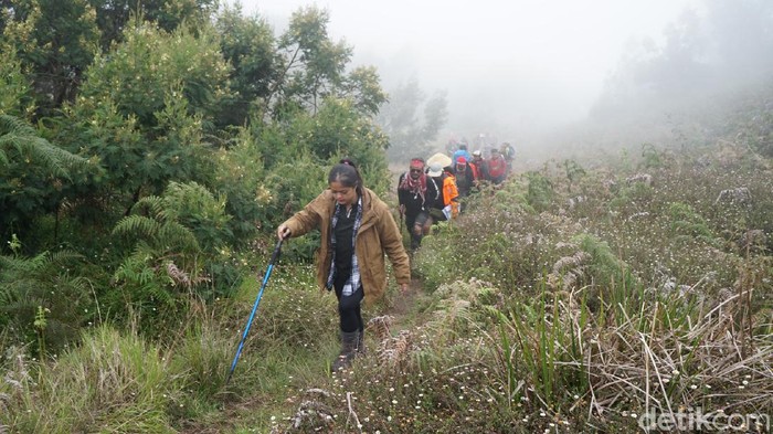 Suasana Gunung Prau Usai Dibuka Kembali Seluruh jalur pendakian Gunung Prau, Wonosobo, Jawa Tengah, sudah dibuka kembali sejak 4 September 2021. Berikut foto-foto suasana terkininya.