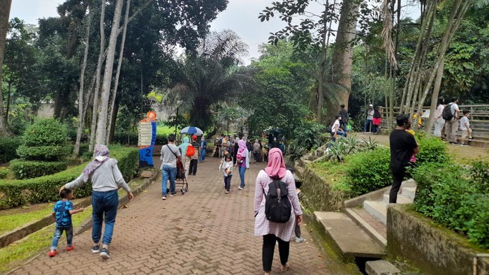 Suasana Taman Margasatwa Ragunan, Sabtu (6/11/2021)