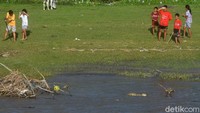 Seekor buaya liar berada di dekat bola yang jatuh di sekitar Sungai Palu di Palu, Sulawesi Tengah, Sabtu (6/11/2021).